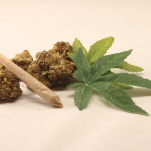 Single Pre-Rolled CBD Joint