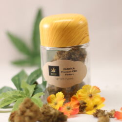 Pazifica Strand 7.5 Grams