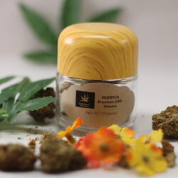 Pazifica Strand 3.5 Grams