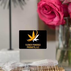 Infused Crackers by Sanstouch